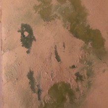 09.02.21 Grün versteckt sich