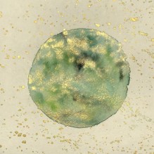 14.02.21 über das aktive Verlieben