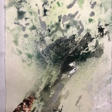 18.02.21 Wachsen um zu Blühen