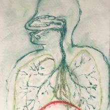 26.02.21 Der Atem des Baumes