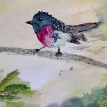 Vögel-Die Mittler zwischen Himmel und Erde 23.04.21