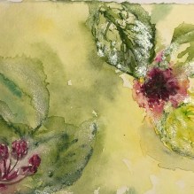 Die Blüte reichen 24.04.21